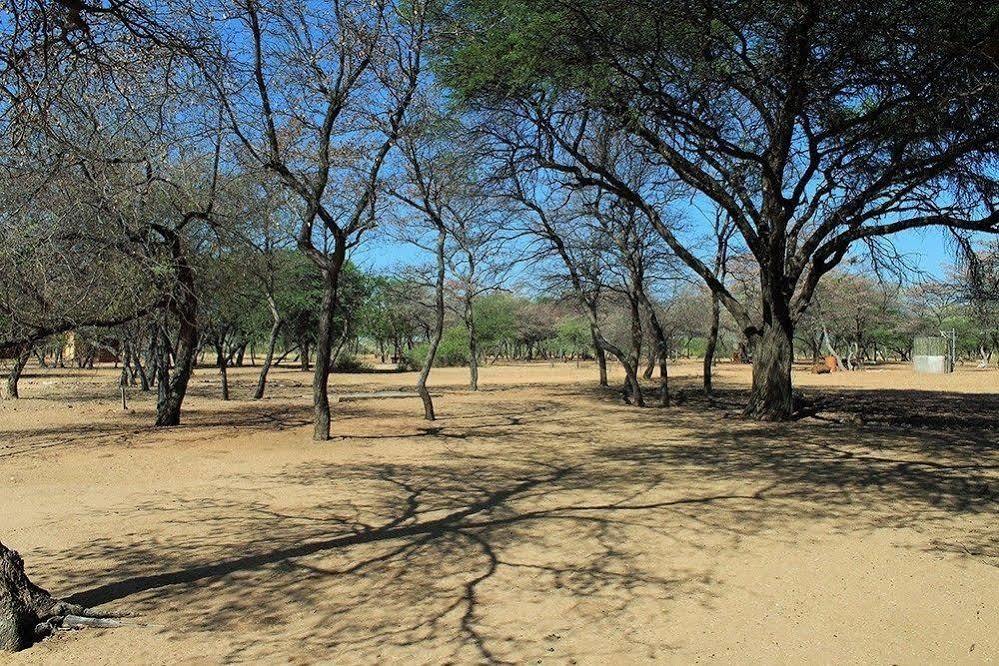 Harnas Wildlife Foundation Gobabis Exterior foto
